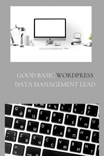 Good Basic Word Press Data Management Lead With Php My Admin