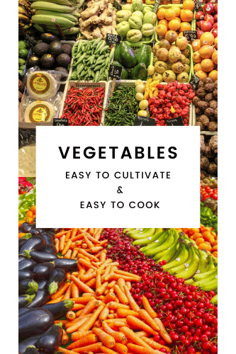 Vegetable Easy To Cultivate Easy To Cook